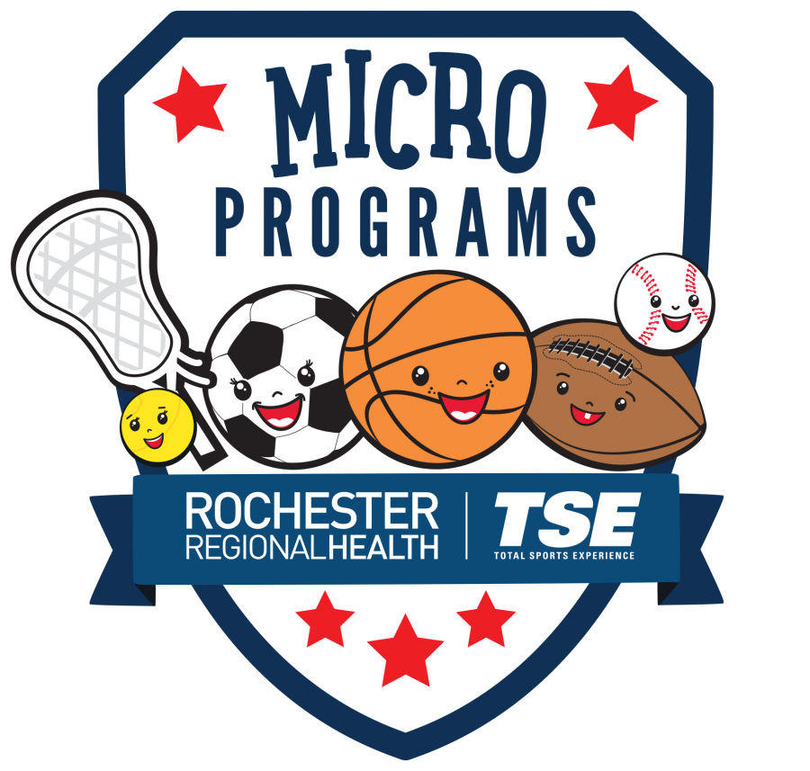 TSE Micro Programs